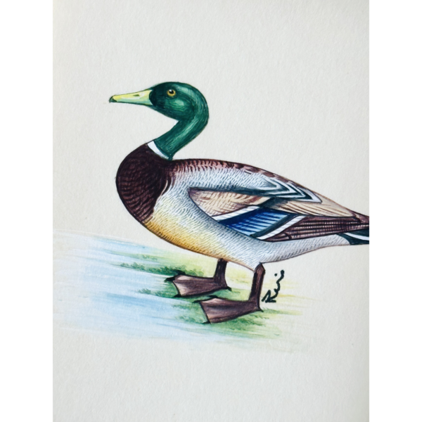 Hand-Painted Mallard Mini, Flapjack - Image 3