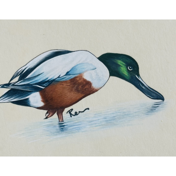 Hand-Painted Mallard Mini, Dove - Image 2