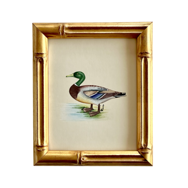 Hand-Painted Mallard Mini, Flapjack - Image 2