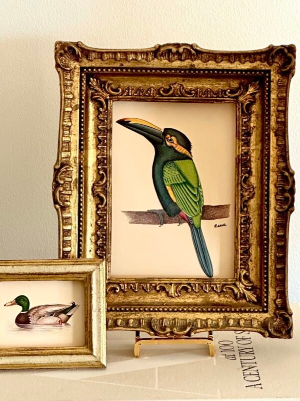 Hand-Painted Toucan in a Vintage Italian Frame - Image 2