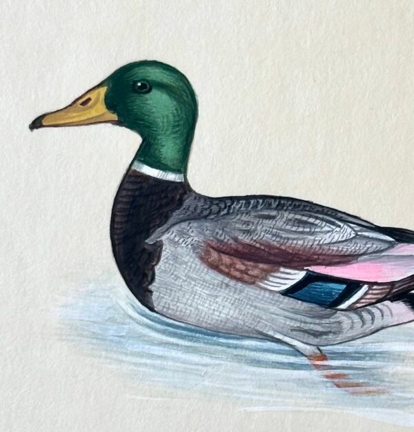 Hand-Painted Mallard Miniature, Feathered Friend - Image 2