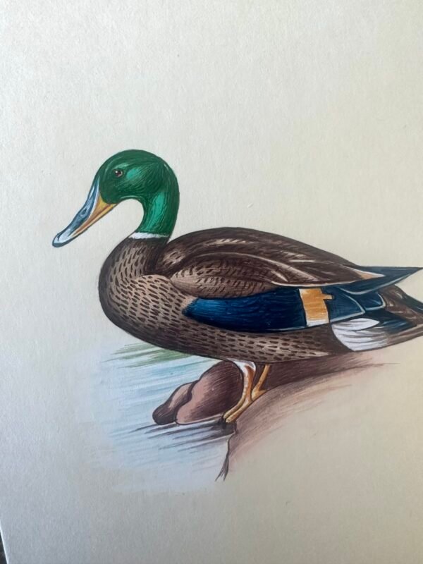 Hand-Painted Mallard Mini, Merry Mallard - Image 2