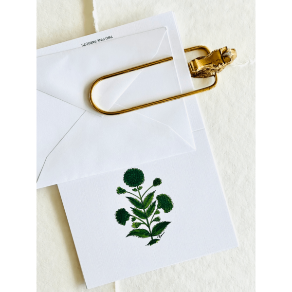 Green Motif Note Cards - Set of 10