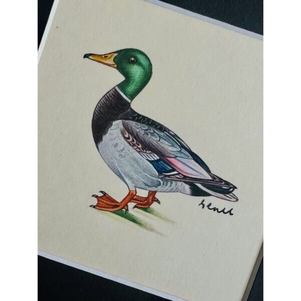 Hand-Painted Mallard Mini, Marmalade - Image 2