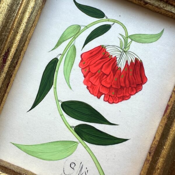 Hand-Painted Botanical Painting, Éternelle - Image 2