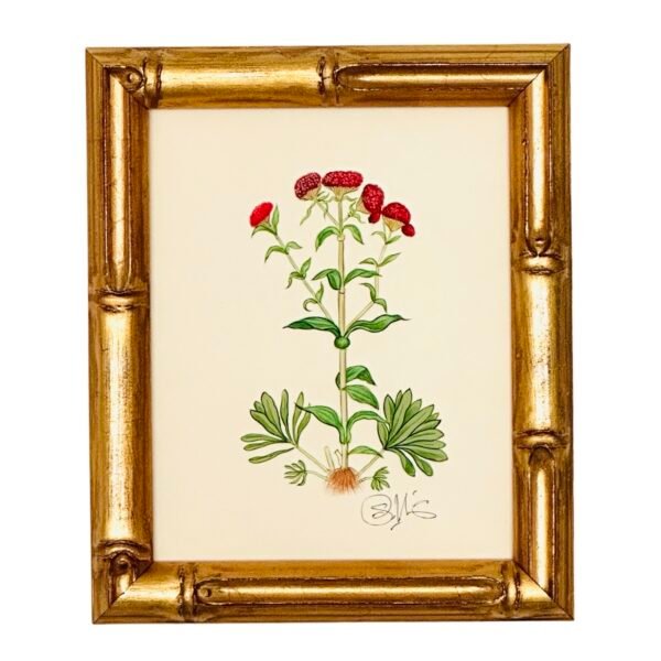 Hand-Painted Botanical Painting, d'Amour