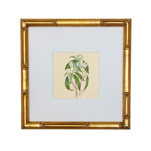 Hand-Painted Botanical Painting, Lueur - Image 4