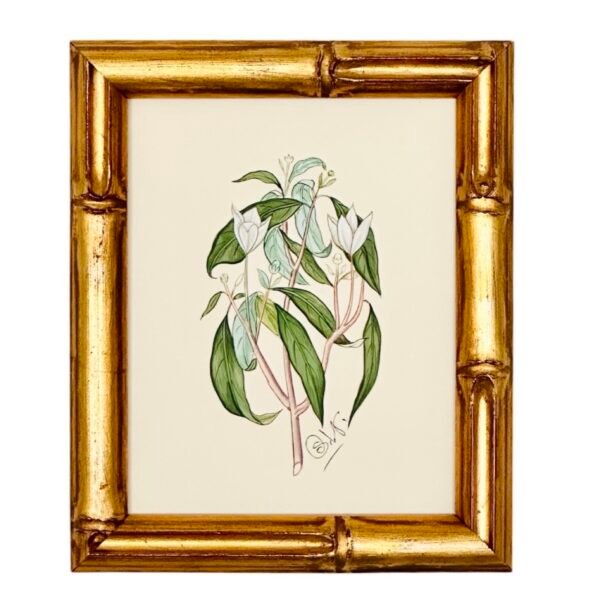 Hand-Painted Botanical Painting, Lueur