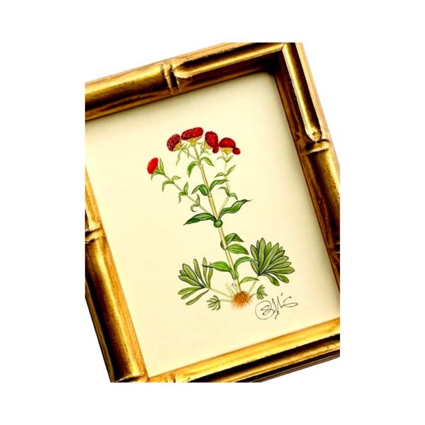 Hand-Painted Botanical Painting, d'Amour - Image 2