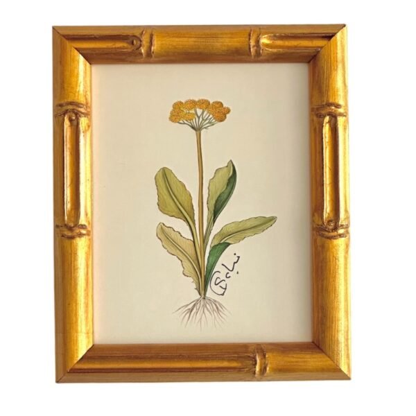 Hand-Painted Botanical Painting, Fleurs Oubliées