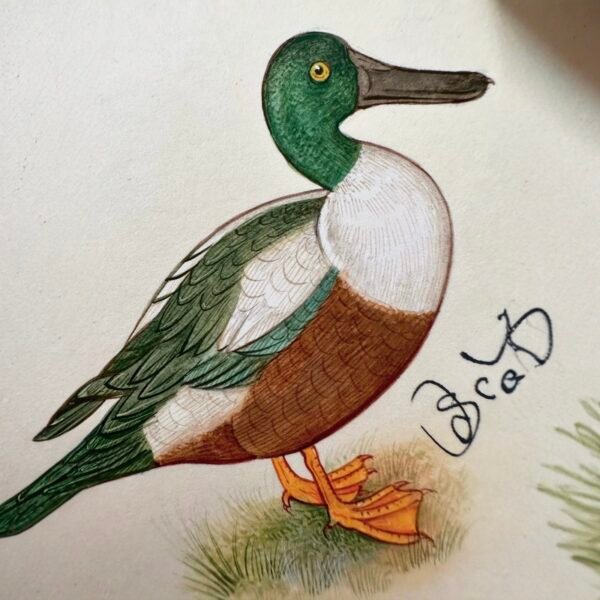Hand-Painted Mallard Mini Painting, Milo - Image 3