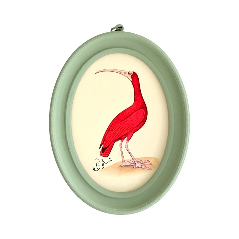 Hand-Painted Ibis Miniature Painting, Scarlet