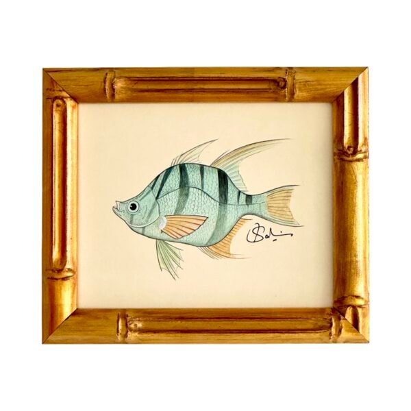 Hand-Painted Fish Painting, Taffy