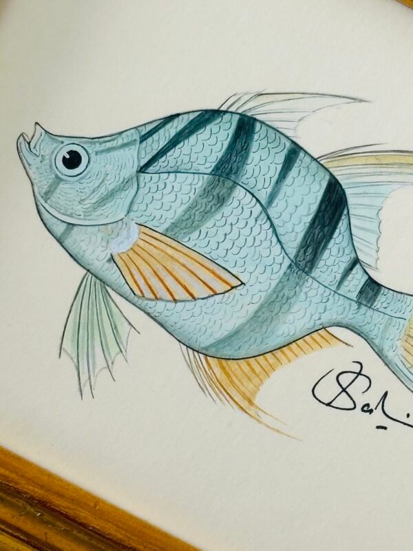Hand-Painted Fish Painting, Taffy - Image 3