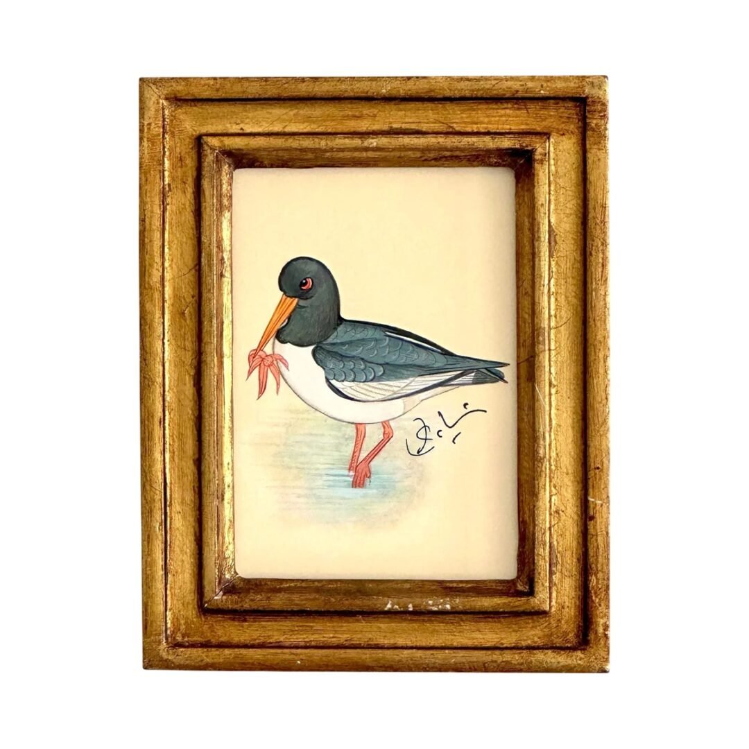 Hand-Painted Oystercatcher Mini, Marlo