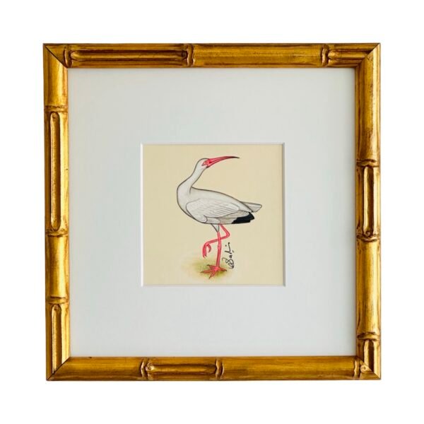 Hand-Painted White Ibis Painting, Rosie