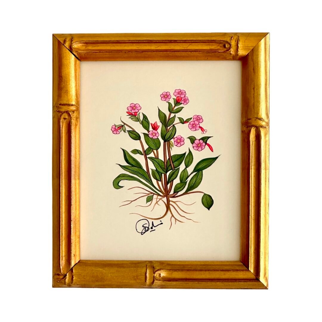 Hand-Painted Botanical Painting, Belle Botanique