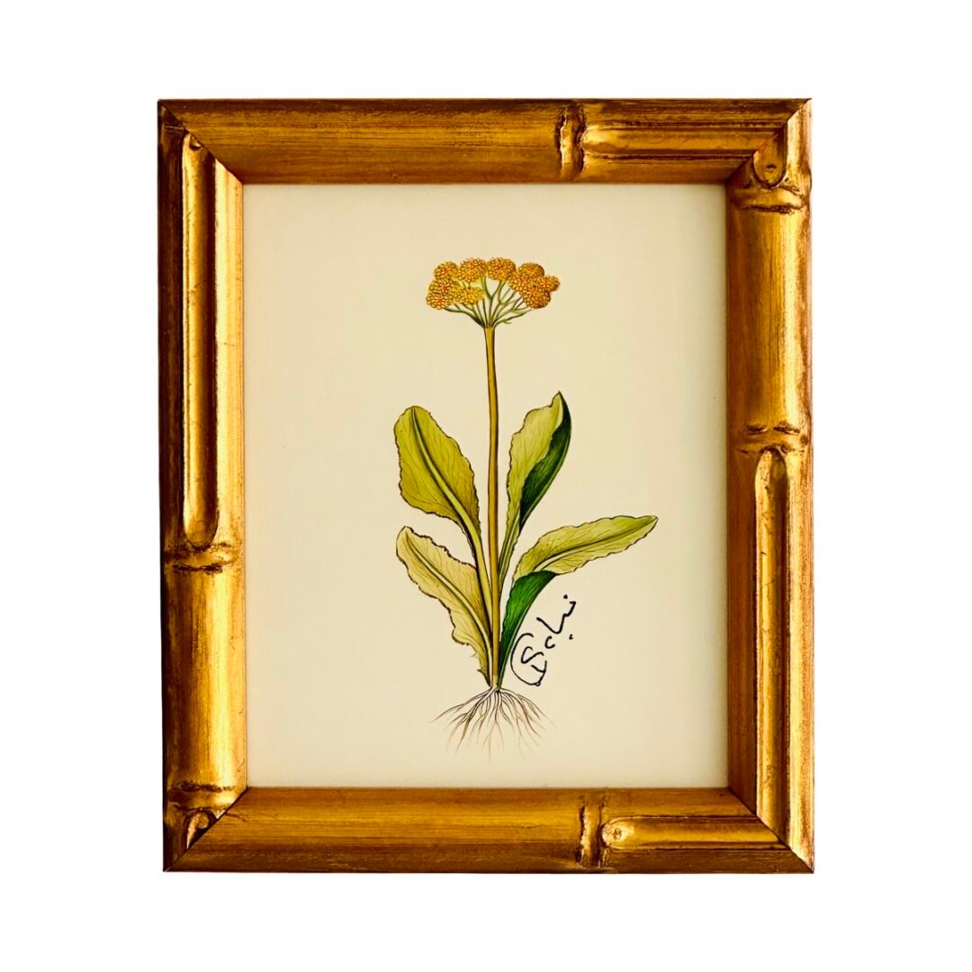 Hand-Painted Botanical Painting, Fleurs Oubliées