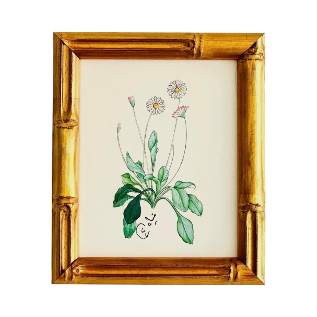 Hand-Painted Botanical Painting, Fleur Blanche