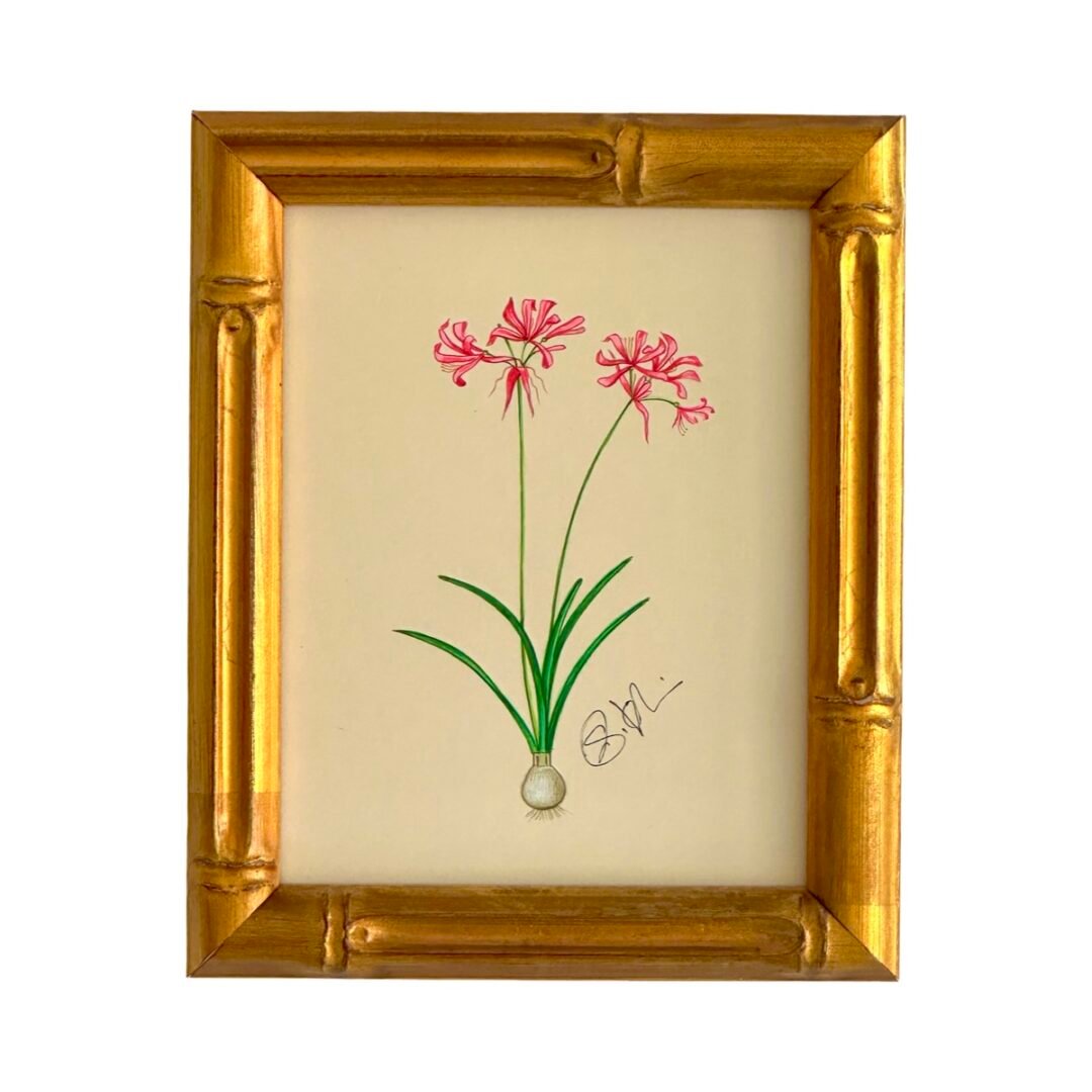 Hand-Painted Botanical Painting, Bouton de Rêve