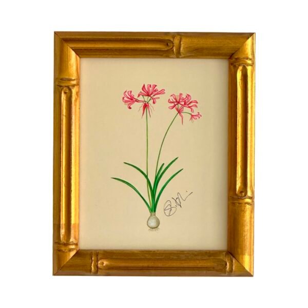 Hand-Painted Botanical Painting, Bouton de Rêve
