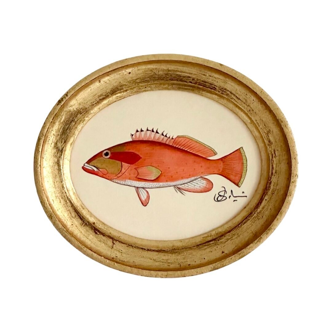 Hand-Painted Fish Painting, Marmalade