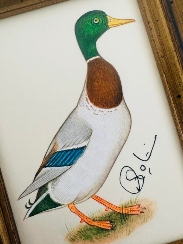 Hand-Painted Mallard Painting, Pippin - Image 2