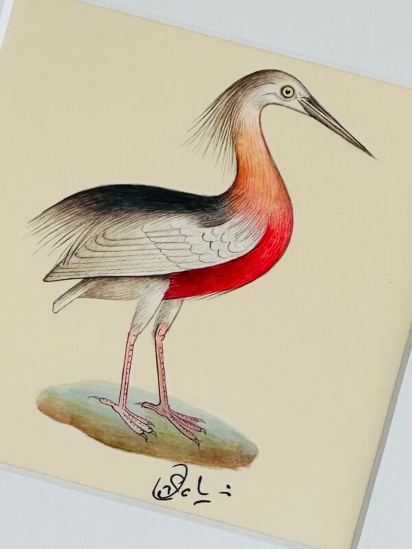 Hand-Painted Bird Painting, Zippy - Image 2