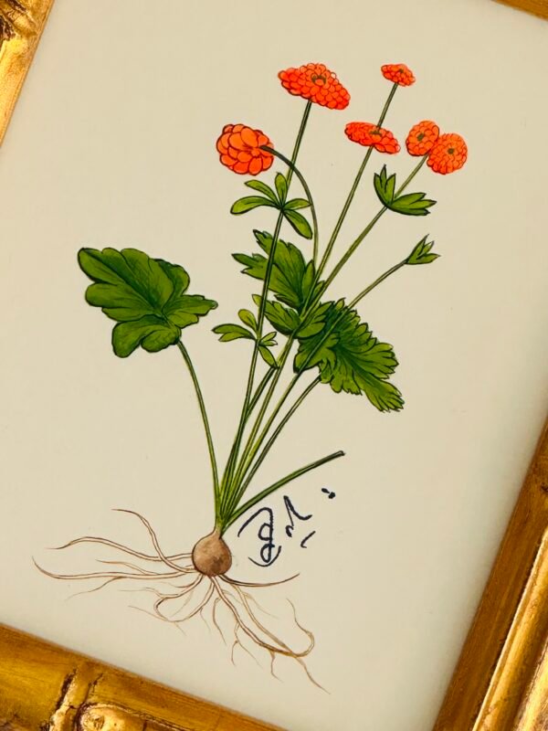 Hand-Painted Botanical Painting, Lilas et Lune - Image 2