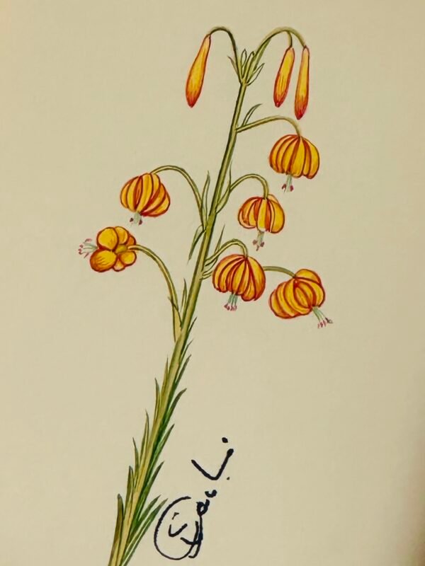 Hand-Painted Botanical Painting, Fleur Folle - Image 2
