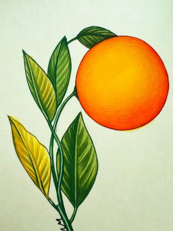 Hand-Painted Clementine Painting - Image 2