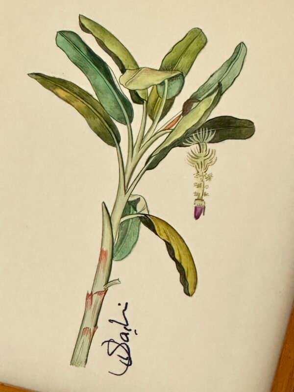 Hand-Painted Banana Palm Tree Painting - Image 2