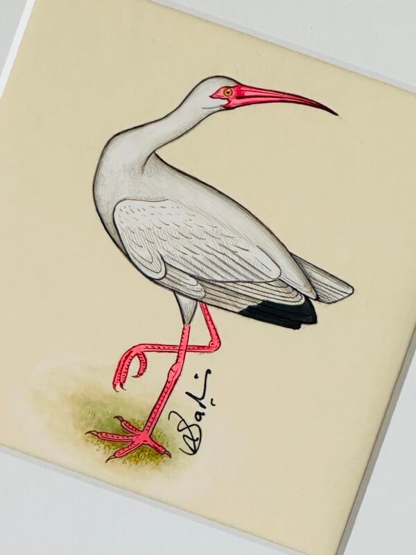 Hand-Painted White Ibis Painting, Rosie - Image 2