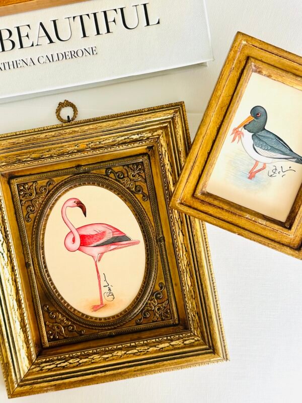 Hand-Painted Oystercatcher Mini, Marlo - Image 2
