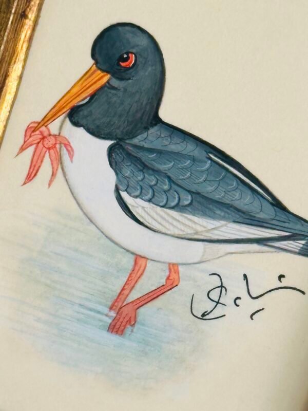 Hand-Painted Oystercatcher Mini, Marlo - Image 3