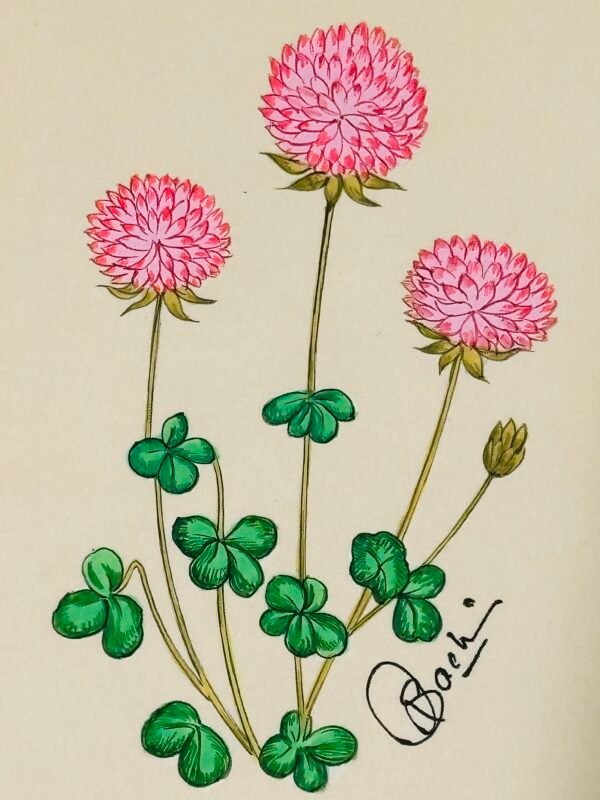 Hand-Painted Floral Painting, Peony Pop - Image 2