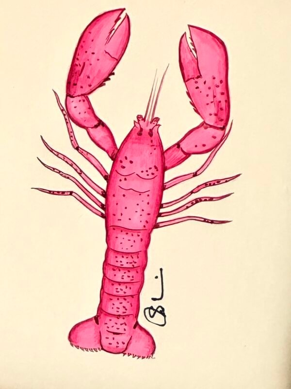 Hand-Painted Pink Lobster Painting, Dory - Image 2