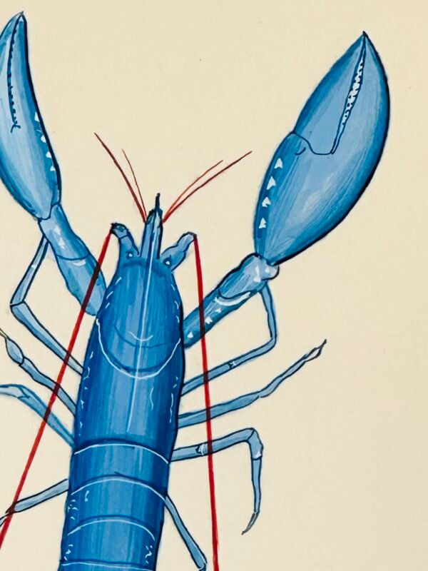 Hand-Painted Blue Lobster Painting, Tide - Image 3