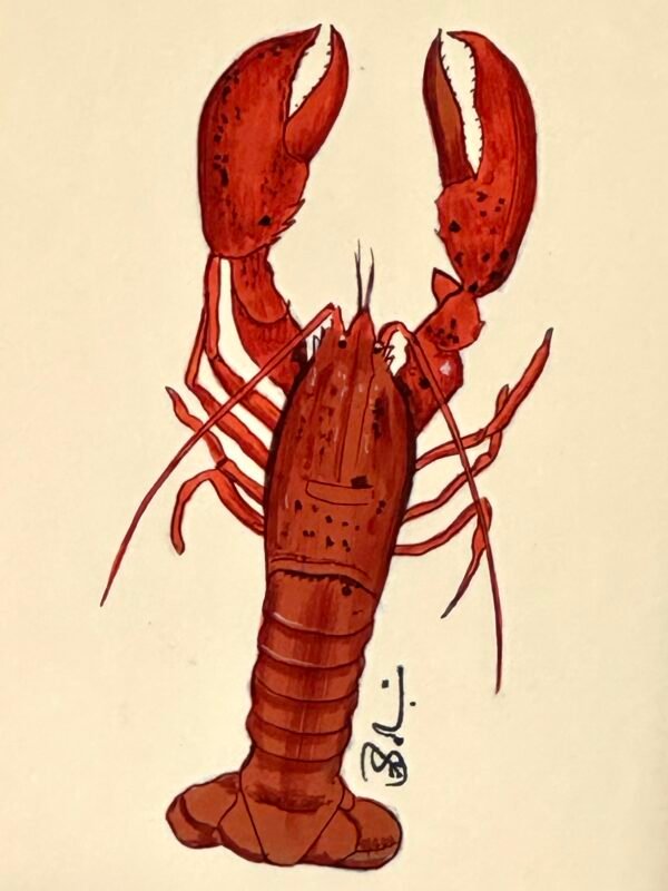 Hand-Painted Orange Lobster Painting, Maple - Image 2
