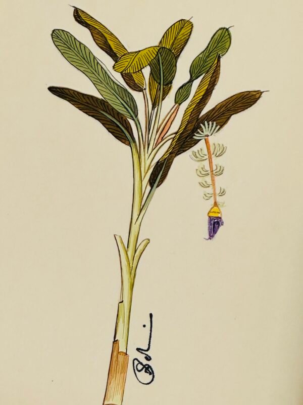 Hand-Painted Banana Palm Tree Painting - Image 2
