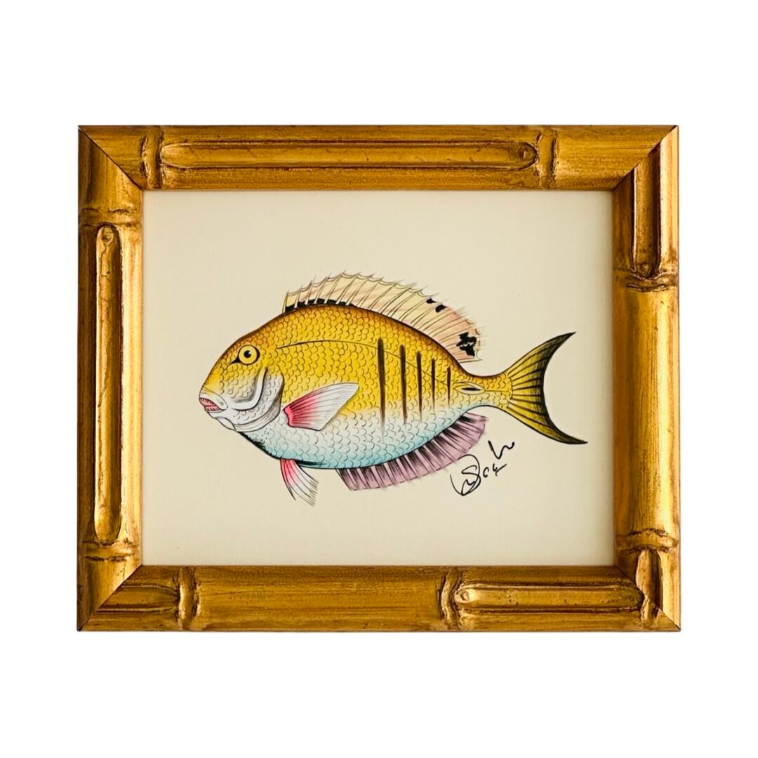 Hand-Painted Fish Painting, Sunbeam