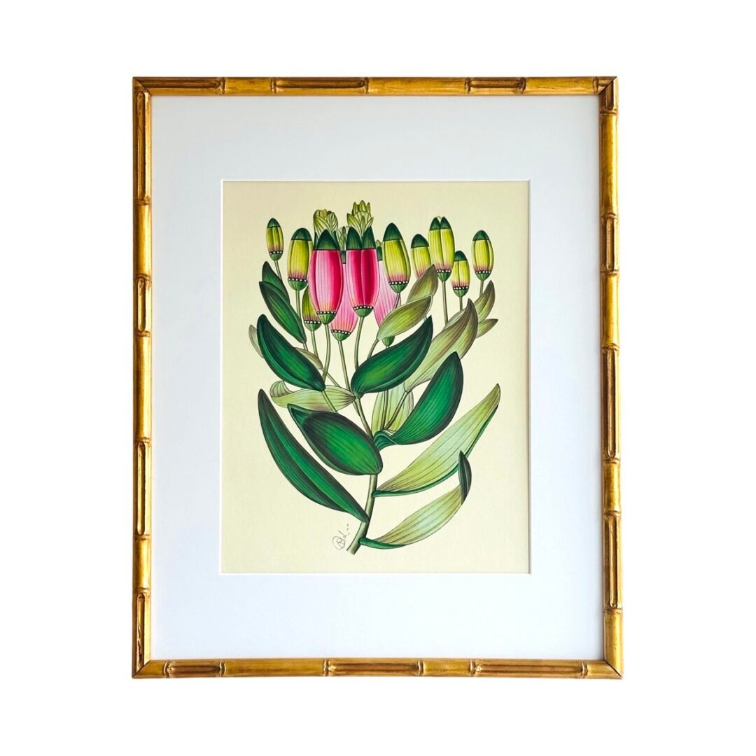 Hand-Painted Botanical Painting, Pink Whisper