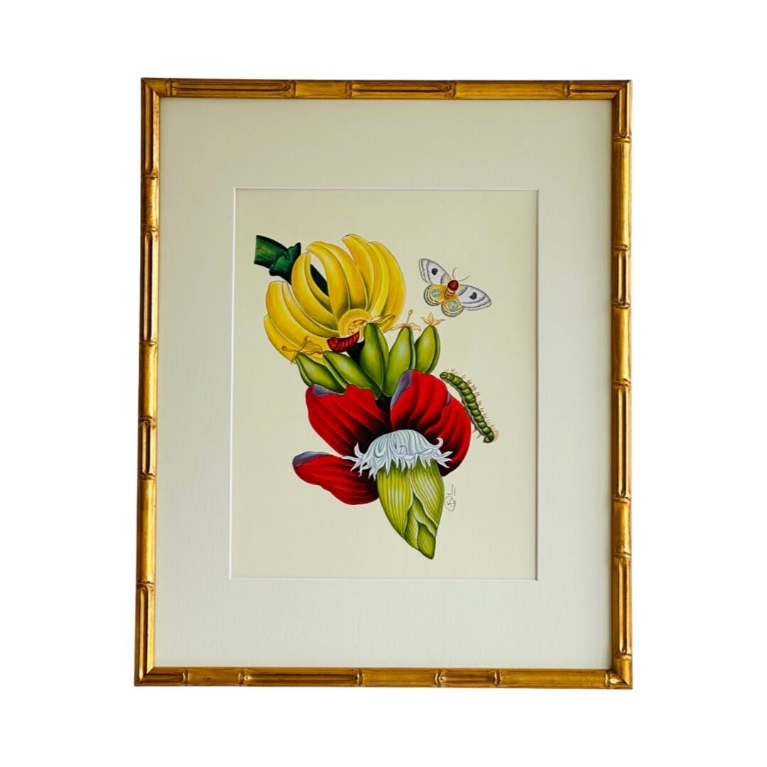 Hand-Painted Botanical Painting, Banana Flower