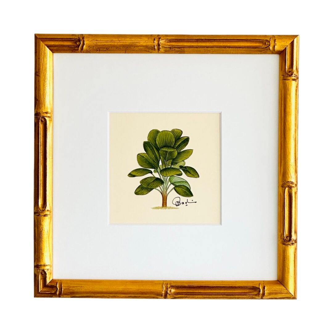 Hand-Painted Ruffled Fan Palm Painting