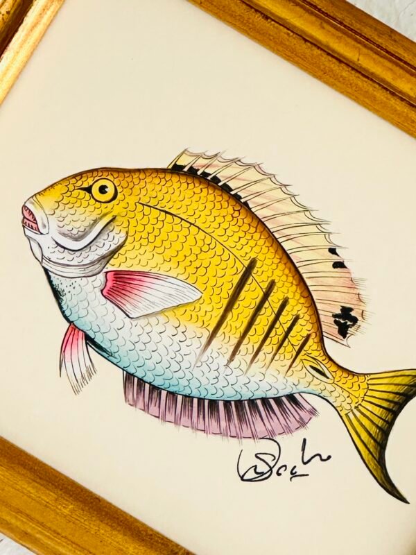 Hand-Painted Fish Painting, Sunbeam - Image 2