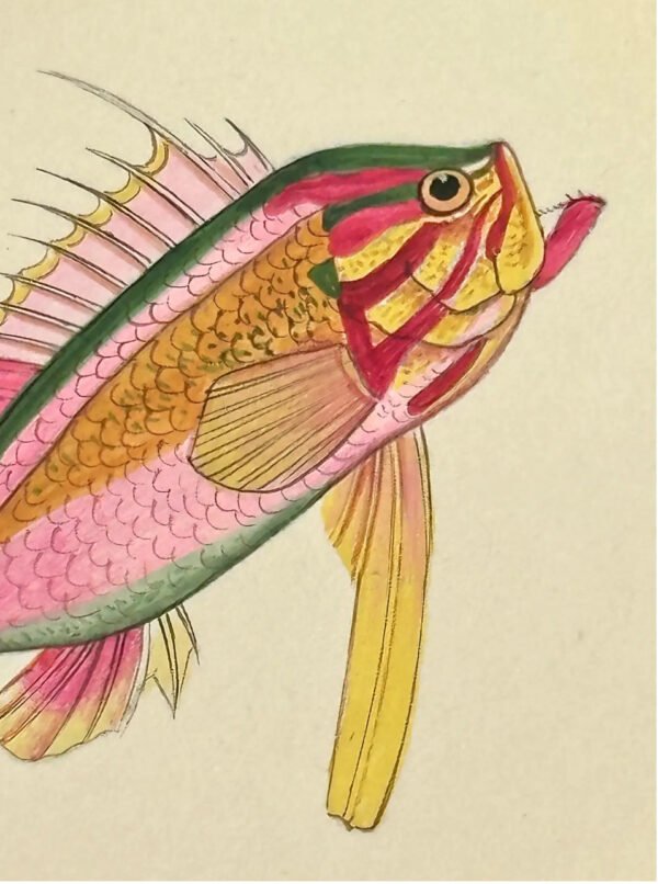 Hand-Painted Fish Painting, Peep - Image 3