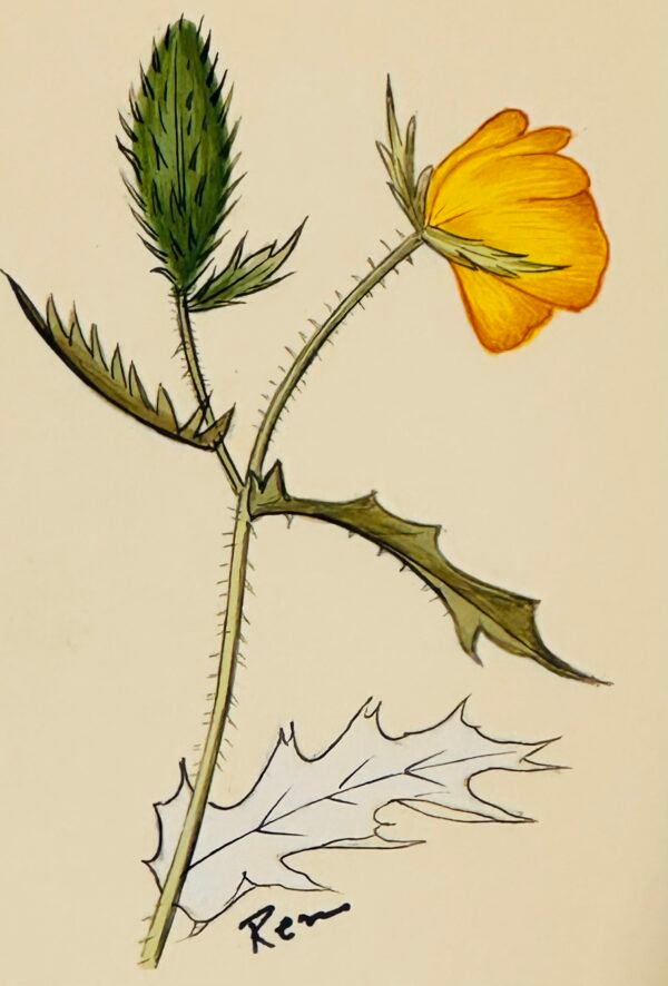 Hand-Painted Floral Painting, Goldiepop - Image 2