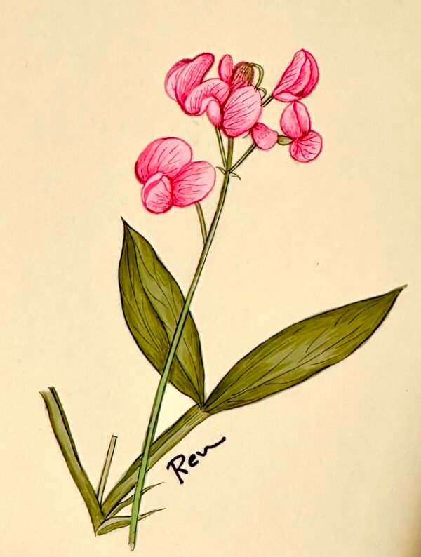 Hand-Painted Floral Painting, Lovebud - Image 2