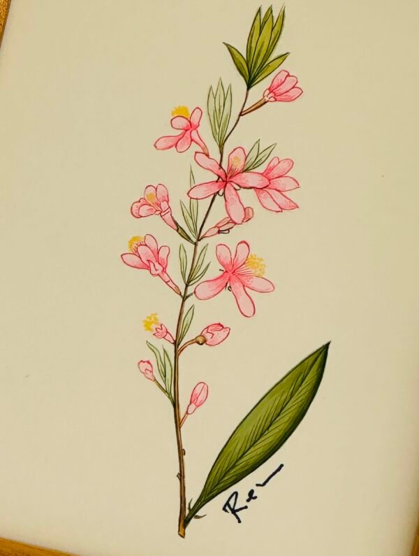 Hand-Painted Floral Painting, Pink Breeze - Image 2