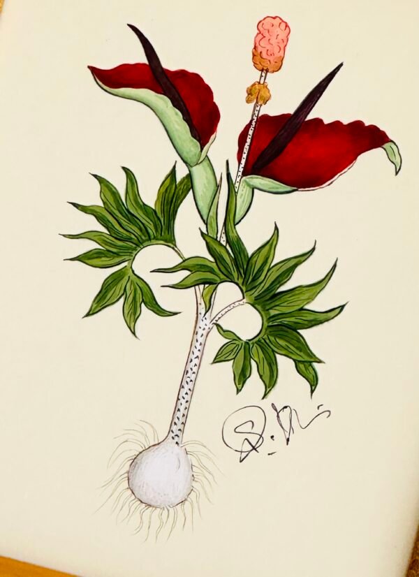 Hand-Painted Floral Painting, Velvet Ember - Image 2